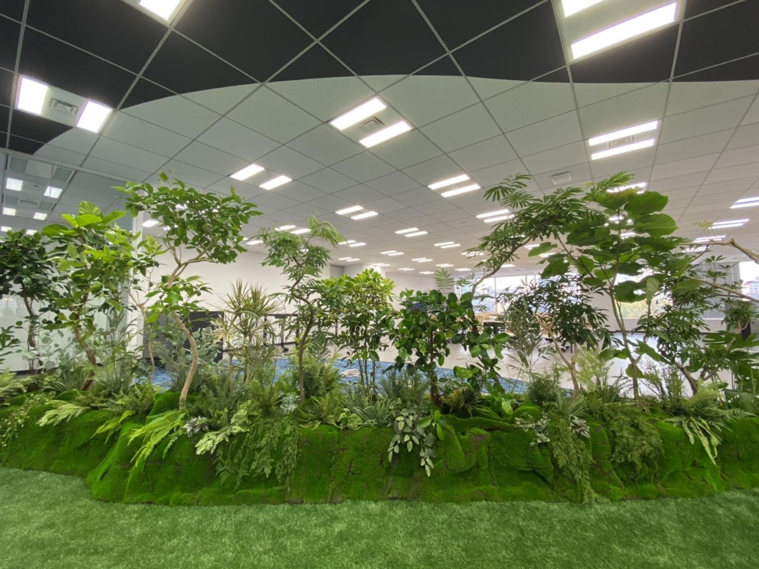 Interior | Interior Plant Design by Rolling Greens Inc.