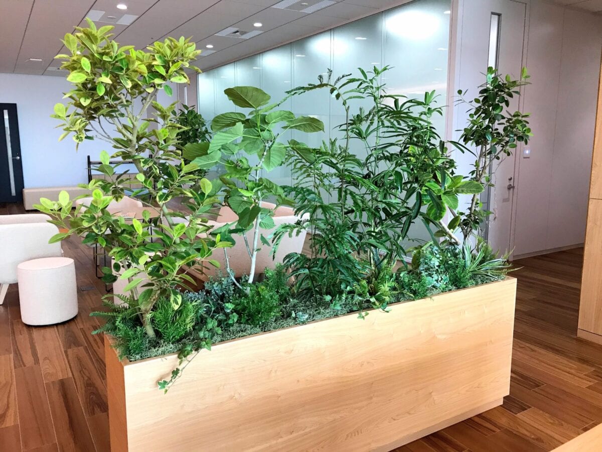 Interior | Interior Plant Design by Rolling Greens Inc.