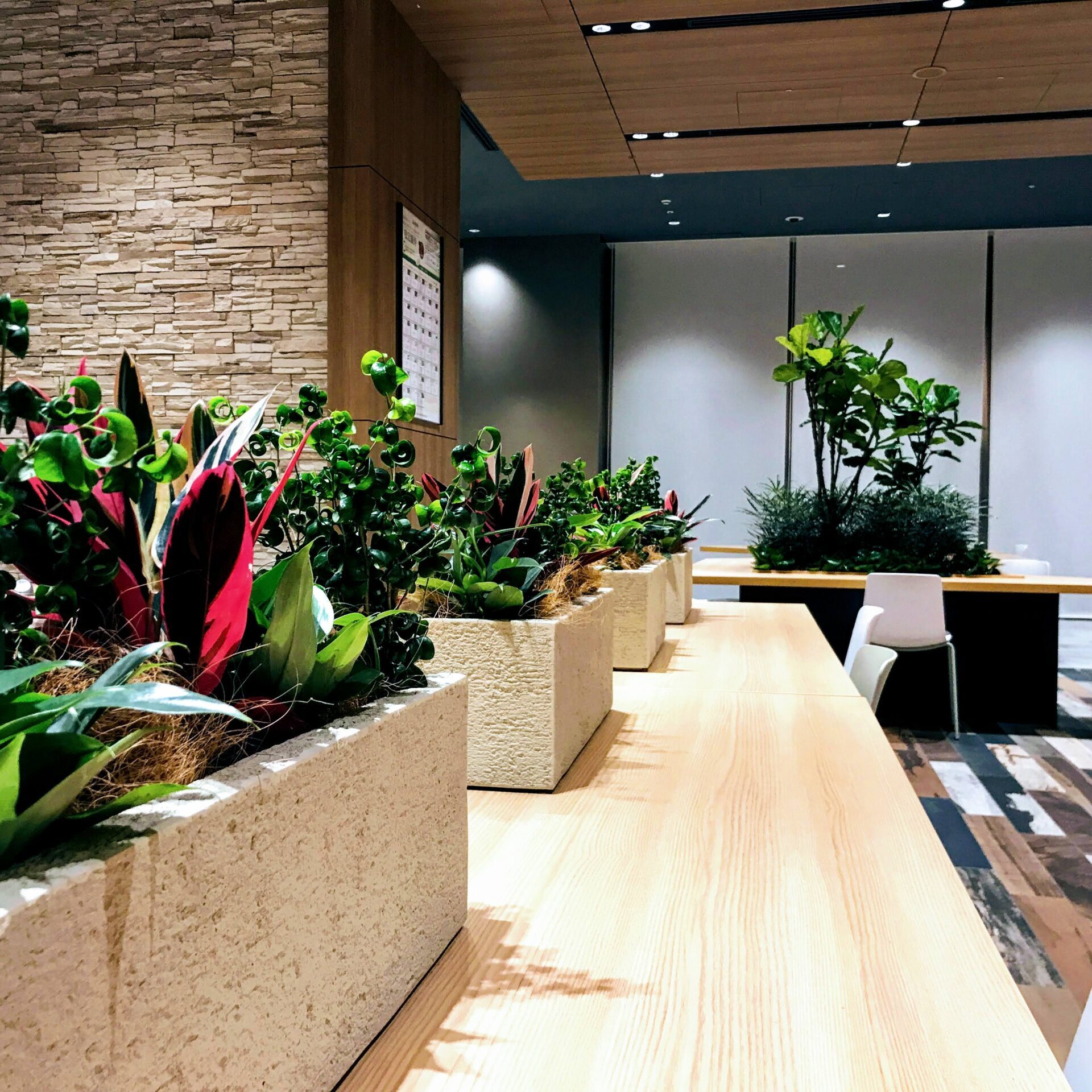 Modern indoor space with wooden table and lush plants in concrete planters.