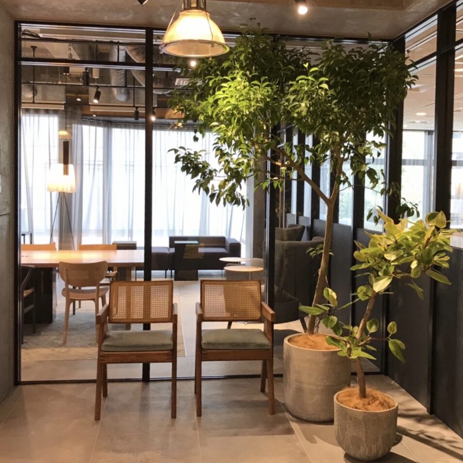 Cozy indoor cafe with wooden tables, chairs, and lush greenery.