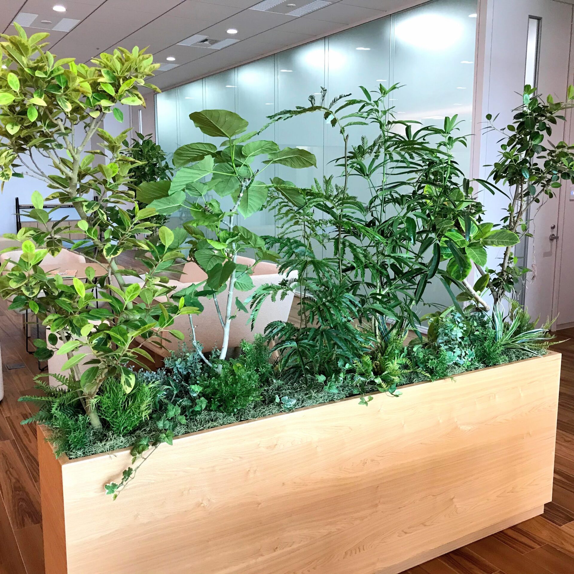 A wooden planter box filled with lush green plants indoors.