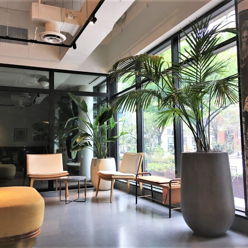 Modern indoor seating area with large windows and tall plants.