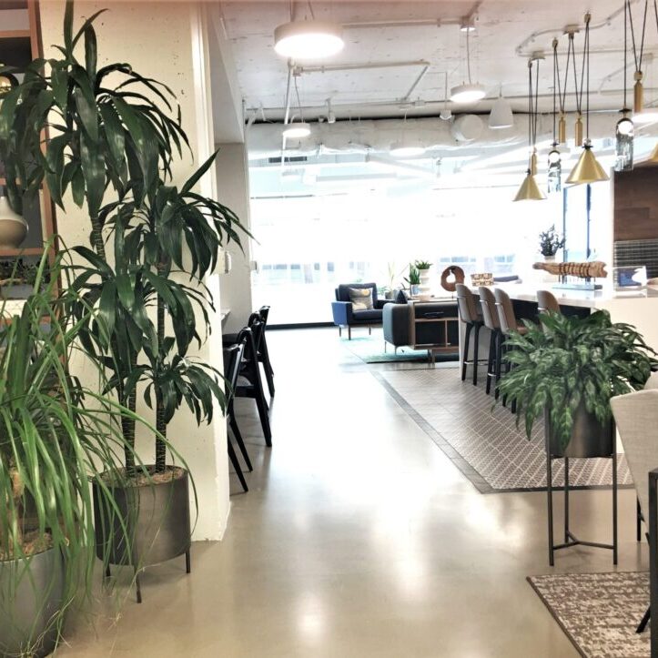 Bright modern cafe with plants and seating area.