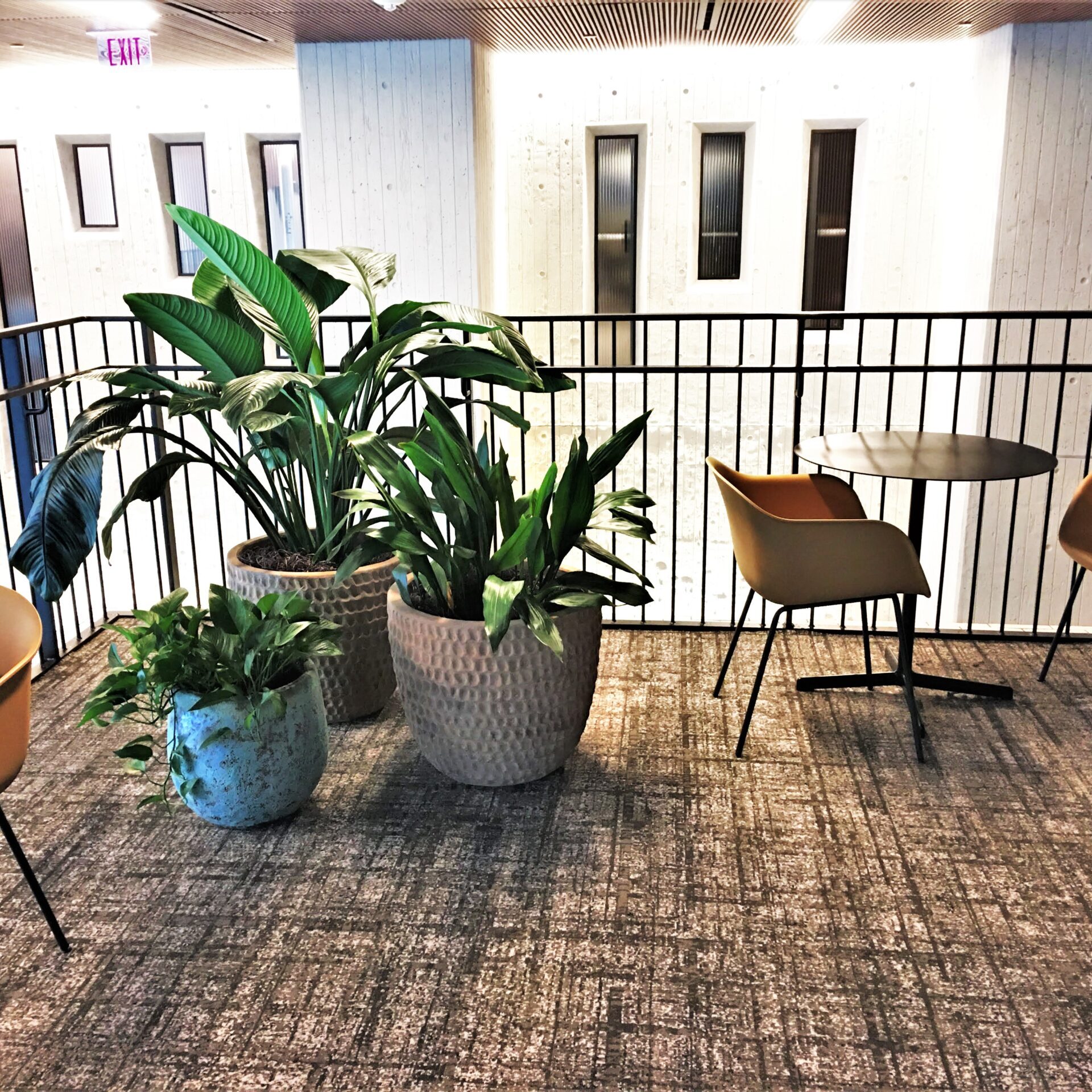 Indoor seating area with potted plants and wooden chairs.