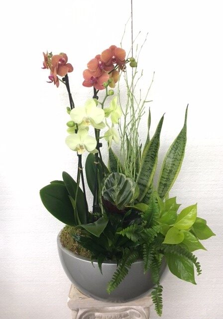 A stylish floral arrangement with orchids, succulents, and greenery in a modern pot.