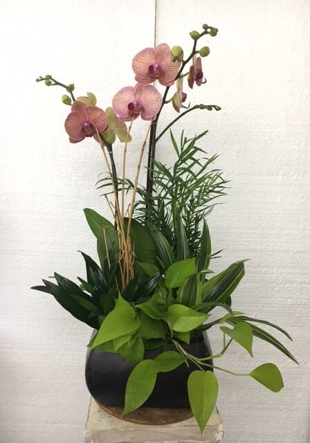 A floral arrangement with pink orchids and green foliage in a white vase.
