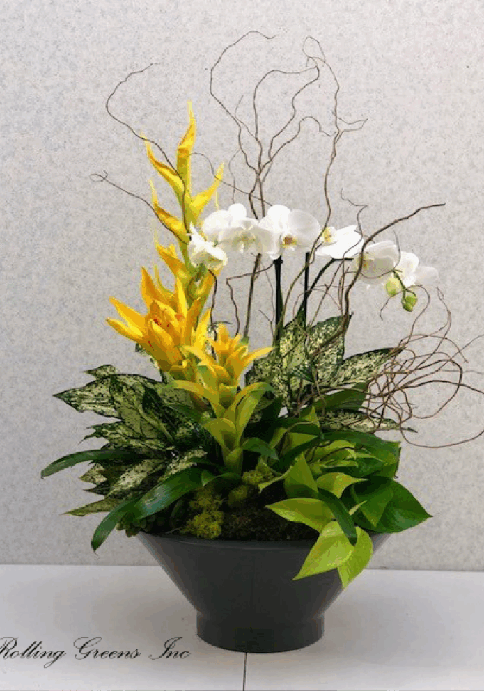 Elegant flower arrangement with white orchids, yellow blooms, and green foliage in a black vase.